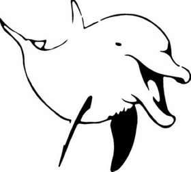 Dolphin Sticker 147