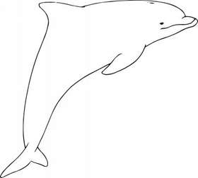 Dolphin Sticker 141