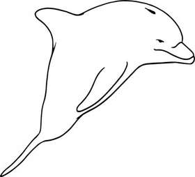 Dolphin Sticker 255