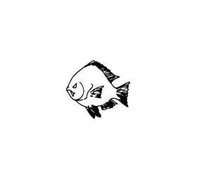 Fish Sticker 205