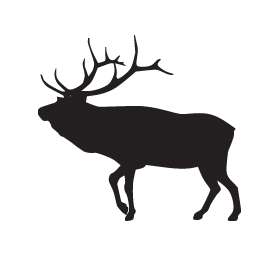 Elk Sticker 1