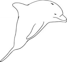 Dolphin Sticker 142
