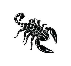 Scorpion Sticker 4