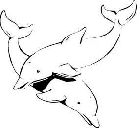 Dolphin Sticker 31