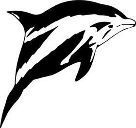 Dolphin Sticker 448