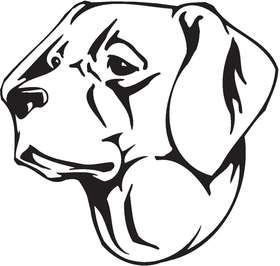 Braque du Puy Dog Sticker