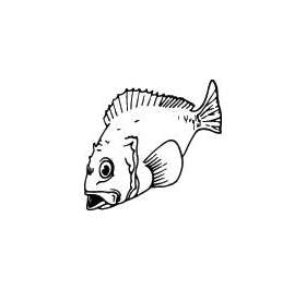 Fish Sticker 306
