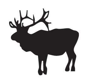 Elk Sticker 12