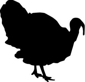 Turkey Sticker 12