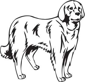 Akbash Dog Sticker