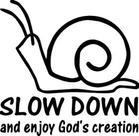 Slow Down Sticker 2132