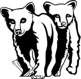 Bear Cubs Sticker