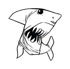 Shark Sticker 270