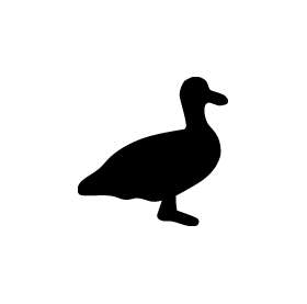 Duck Sticker 39
