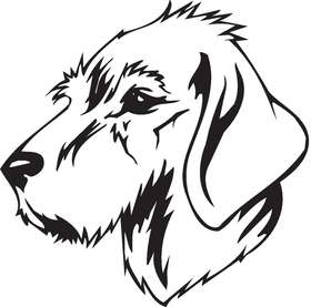 Styrian Coarse-Haired Hound Dog Sticker
