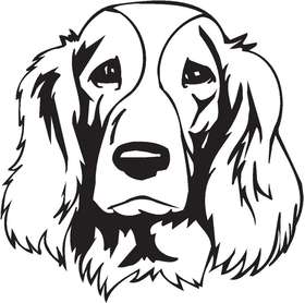 Welsh Springer Spaniel Dog Sticker