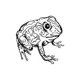 Frog Sticker 30