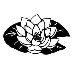 Lotus Blossom Sticker