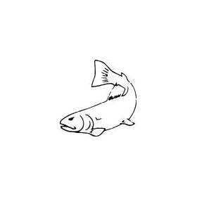 Fish Sticker 50
