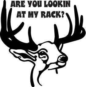 Are you Lookin At My Rack Deer Sticker 2