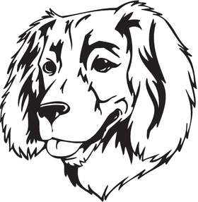 Boykin Spaniel Dog Sticker