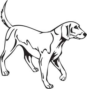 American Foxhound Dog Sticker