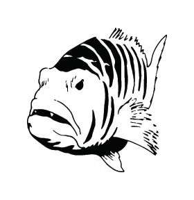 Fish Sticker 197