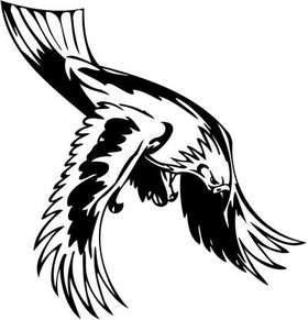 Predatory Bird Sticker 98