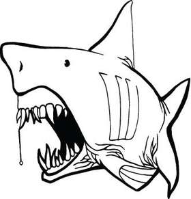 Shark Sticker 181