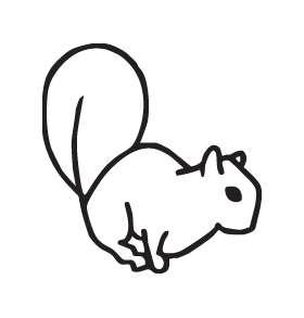 Squirrel Sticker 13