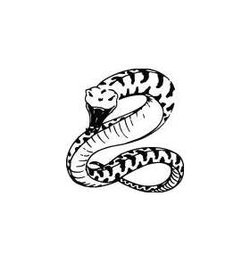 Snake Sticker 133