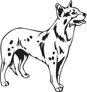Australian Cattle Dog Sticker