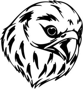 Predatory Bird Sticker 95