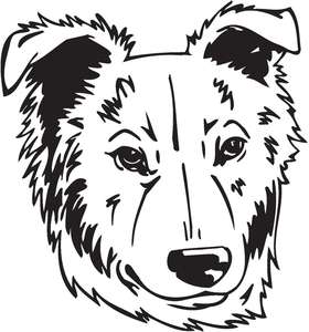 Basque Shepherd Dog Sticker