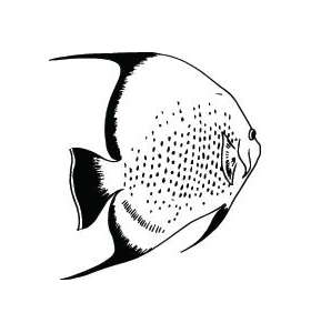 Fish Sticker 618