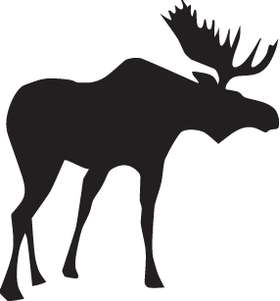 Moose Sticker 32