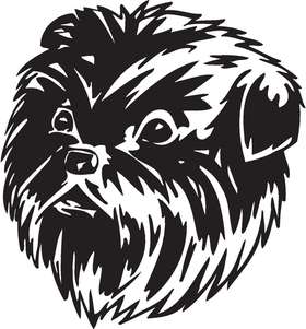 Affenpinscher Dog Sticker