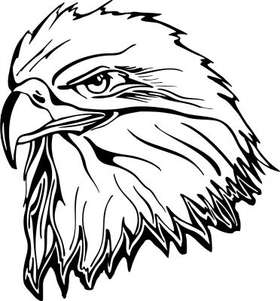 Eagle 19 Sticker