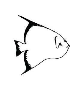 Fish Sticker 186