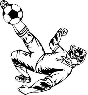 Soccer Sticker 36