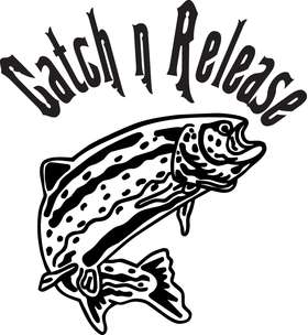 Catch n Release Salmon Fishing Sticker