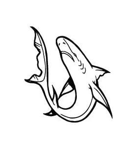 Shark Sticker 254