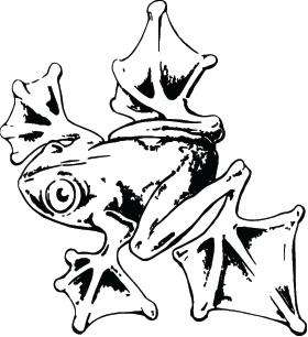 Frog Sticker 54