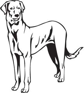 Rajapalayam Dog Sticker