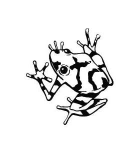 Frog Sticker 24