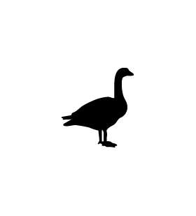 Duck Sticker 97
