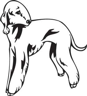 Dedlington Terrier Dog Sticker