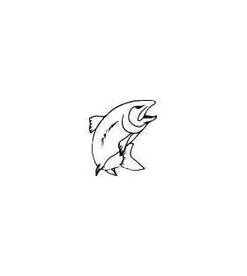 Fish Sticker 71