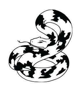 Snake Sticker 234