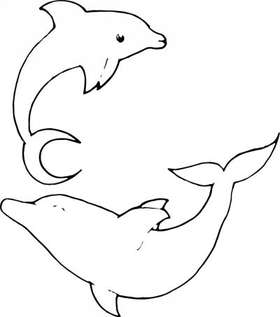 Dolphin Sticker 226